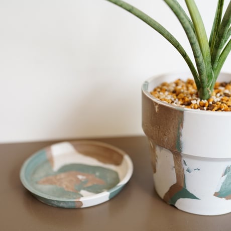 SANSEVIERIA RECYCLE POD SET（GREEN）