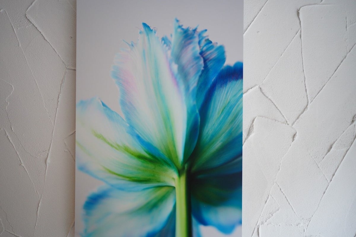 専用ページ　TULIP様 fit=scale-down,w=1200