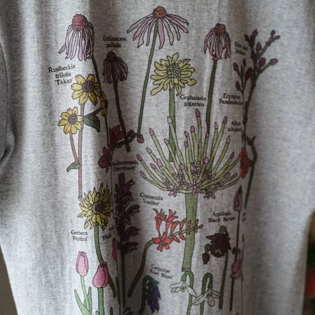 【実は庭師×gui flower】コラボＴシャツ（gray）受注生産枠＊7月中旬発送