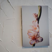 アルミマウントA3　”gladiolus”