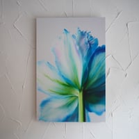 アルミマウントA2　”tulip”