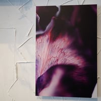 アルミマウントA3　”sweet pea”