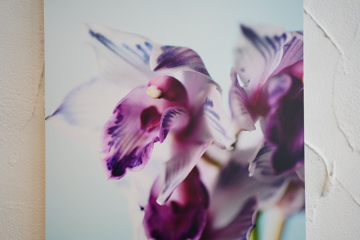アルミマウントA3 ”cymbidium” | gui flower STORE