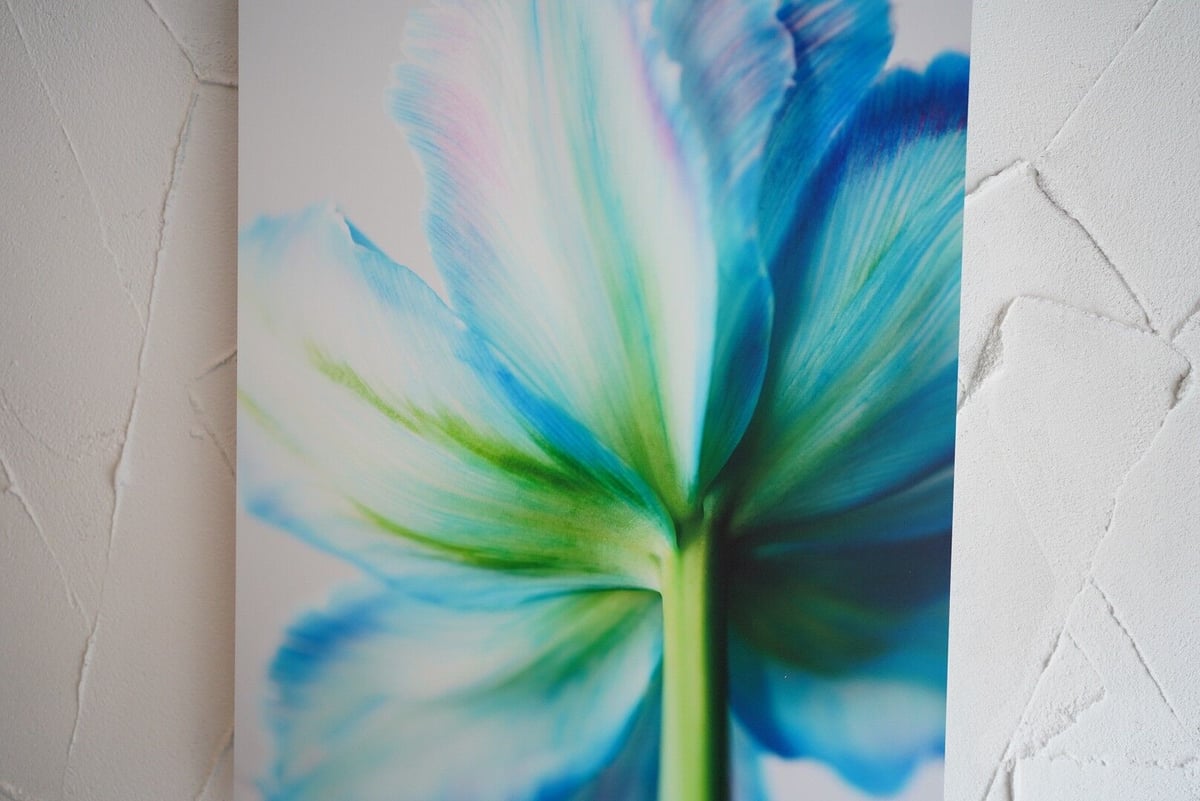 専用ページ　TULIP様 fit=scale-down,w=1200