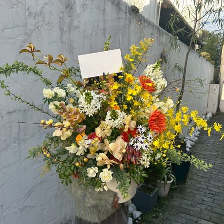 【企業様向けお祝い花】 flower arrangement LL