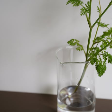 BOROSIL トールビーカー１０００