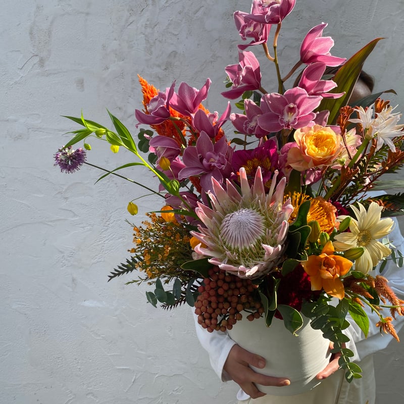 札付き　春うらら×メキシコローズ　ぱんちゃん札　トロピカルガーデン 札付き 春うらら×メキシコローズ ぱんちゃん札 トロピカルガーデン