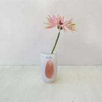 ＜Henry Dean＞ Julien XS （Pink Stain）
