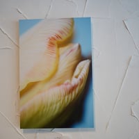 アルミマウントA3　”tulip”