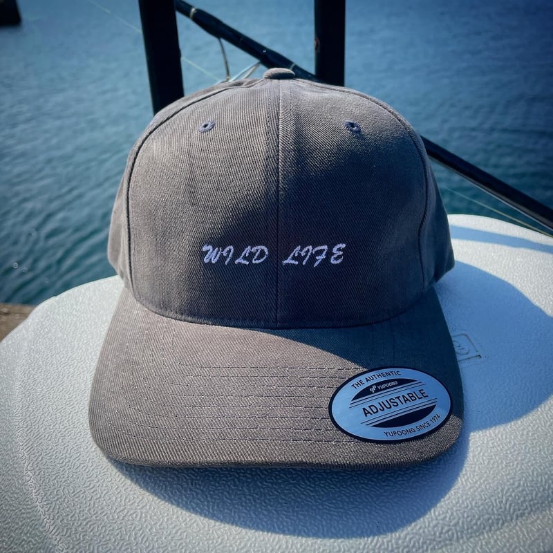 キャップ(ダークグレー) | WILD LIFE