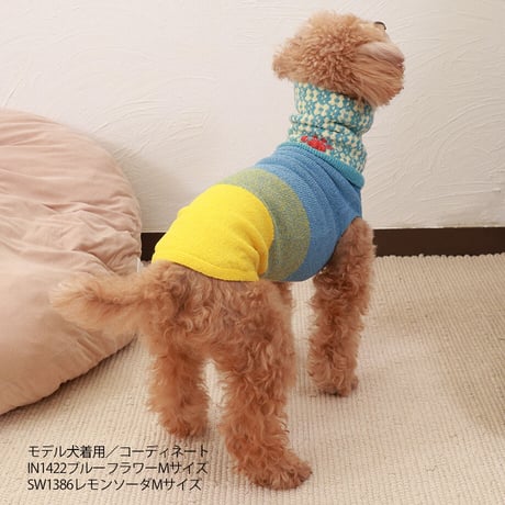 【COCO✖SILK】　ぴったんこぽんぽん（つやめきシルク）小型犬用S・Mサイズ