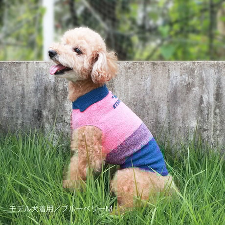 【COCO✖SILK】　ぴったんこわんわん（つやめきシルク）小型犬用S～Lサイズ