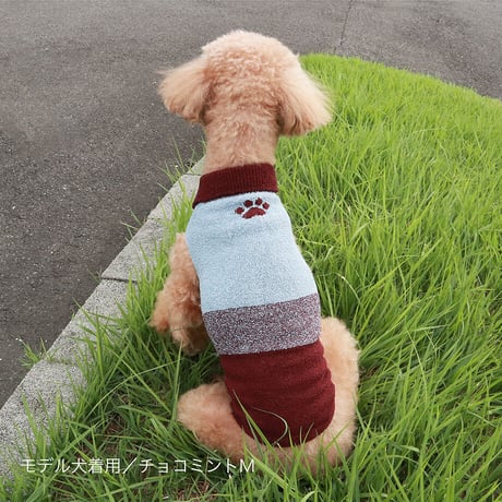 【COCO✖SILK】　ぴったんこわんわん（つやめきシルク）小型犬用S～Lサイズ