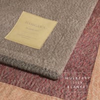 【hasegwa】マルベリーシルク毛布