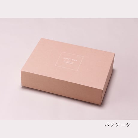 【hasegwa】マルベリーシルク毛布