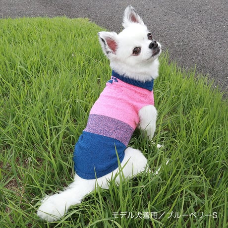 【COCO✖SILK】　ぴったんこわんわん（つやめきシルク）小型犬用S～Lサイズ