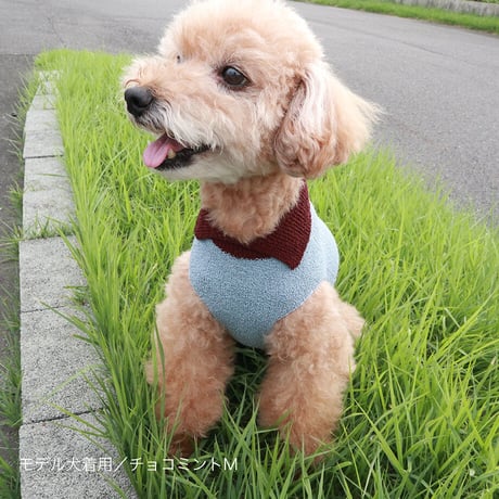 【COCO✖SILK】　ぴったんこわんわん（つやめきシルク）小型犬用S～Lサイズ