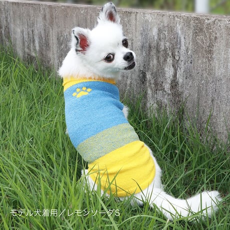 【COCO✖SILK】　ぴったんこわんわん（つやめきシルク）小型犬用S～Lサイズ