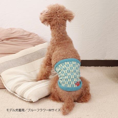 【COCO✖SILK】　ぴったんこぽんぽん（つやめきシルク）小型犬用S・Mサイズ