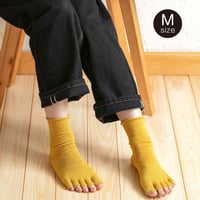 【hasegawa】エコシルクでつくった　指先フリー五本指ソックス　Mサイズ