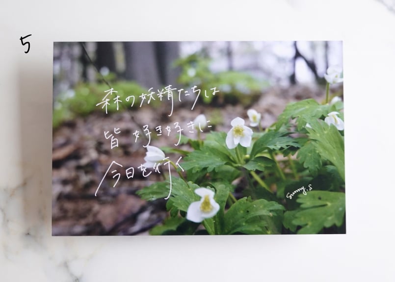 六切ワイドサイズ・作品パネル 全 種 pluie et moi