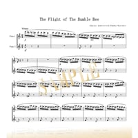 【Flute Duo】熊蜂の飛行（The Flight of the Bumblebee）／リムスキー＝コルサコフ