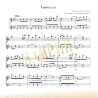 【Flute Duo】タンブラン《共和国の勝利》より／フランソワ＝ジョゼフ・ゴセック