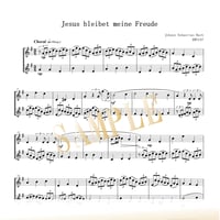 【Flute Duo】主よ、人の望みの喜びよ BWV147／ヨハン・ゼバスティアン・バッハ