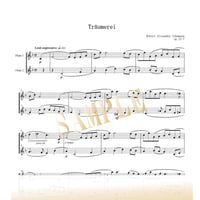 【Flute Duo】トロイメライ（Träumerei, Op. 15, No. 7）／ロベルト・シューマン