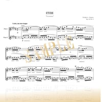 【Flute Duo】別れの曲（Etude Op.10 No.3） / ショパン