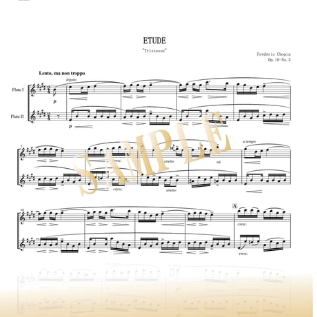 【Flute Duo】別れの曲（Etude Op.10 No.3） / ショパン