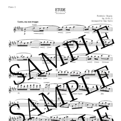【Flute Duo】別れの曲（Etude Op.10 No.3） / ショパン