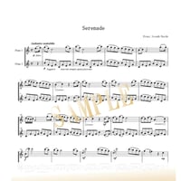 【Flute Duo】セレナーデ（弦楽四重奏曲 ヘ長調 Op.3-5 Hob.III:17より）／ヨーゼフ・ハイドン