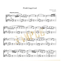 【Flute Duo】春の歌（Spring Song / Frühlingslied）/ メンデルスゾーン