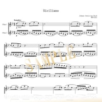 【Flute Duo】シチリアーノ BWV 1031／ヨハン・セバスティアン・バッハ