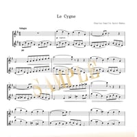 【Flute Duo】白鳥（動物の謝肉祭より）／カミーユ・サン＝サーンス