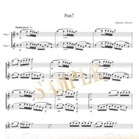 【Flute Duo】パン！（Pan!）／ジュール・ドンジョン