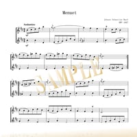 【Flute Duo】メヌエットとブーレ（管弦楽組曲第2番 BWV1067 より）／ヨハン・ゼバスティアン・バッハ