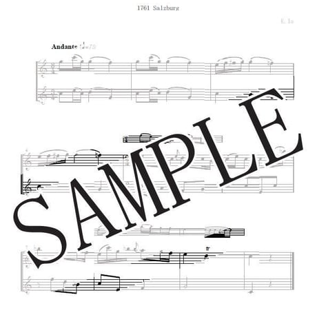 【Flute Duo】Little Wings Of Mozart