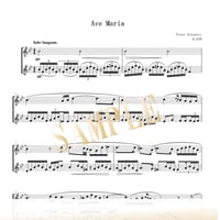 【Flute Duo】アヴェ・マリア D.839／フランツ・シューベルト