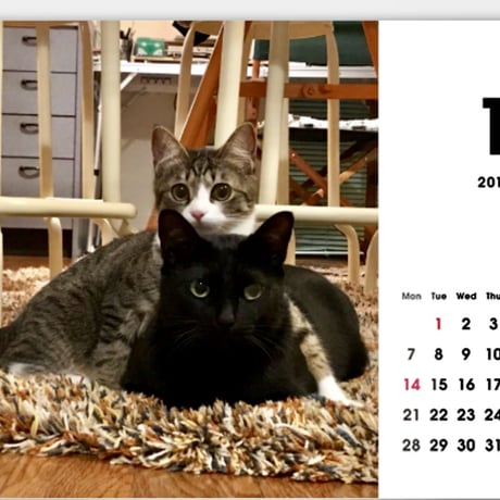 2019 calender 卓上型式ポストカード型カレンダー(完売しました)