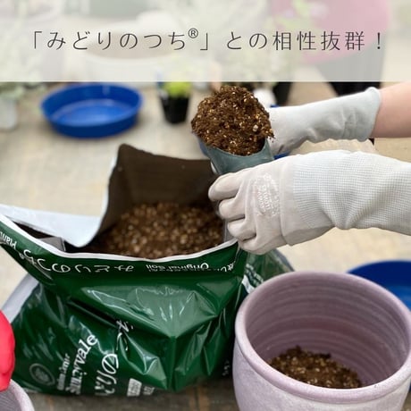 みどりの肥料　1袋