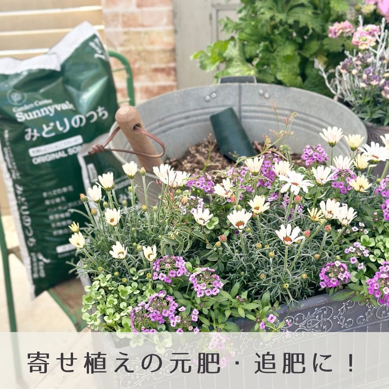 みどりの肥料 2袋セット | Sunnyvale