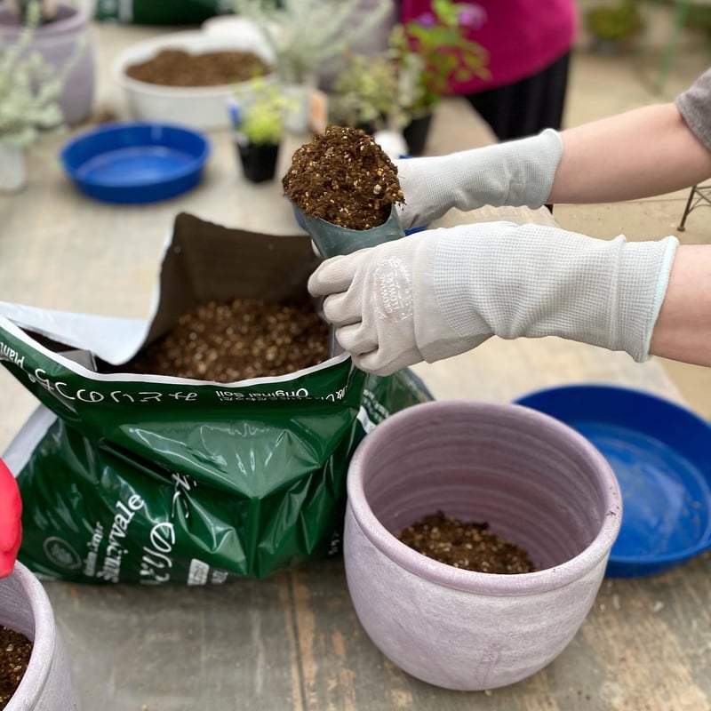 みどりのつち 20L 2袋セット | Sunnyvale