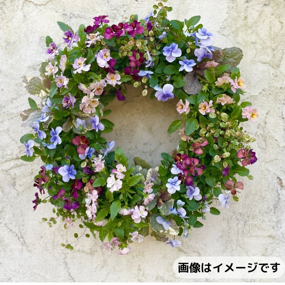 651e6ec9427a88002d5d92ca