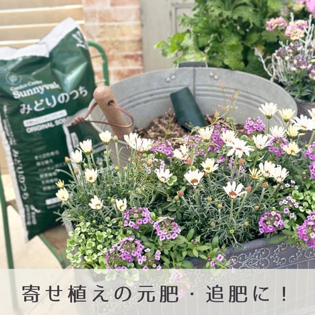 みどりの肥料　1袋