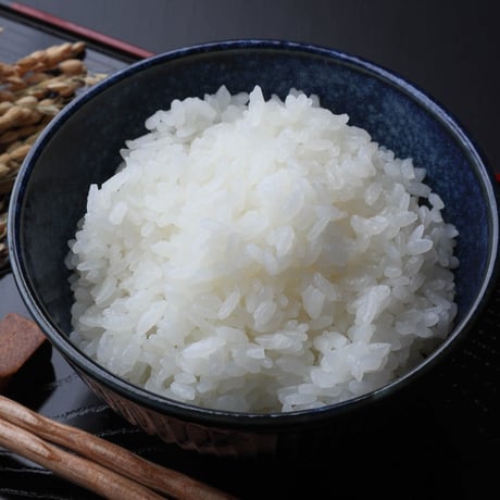 【天陽稲架干し飛騨の米】飛騨産コシヒカリ（白米）【10kg】