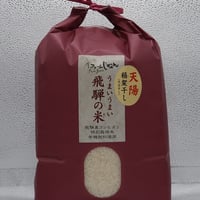 【天陽稲架干し飛騨の米】飛騨産コシヒカリ（白米）【5kg】