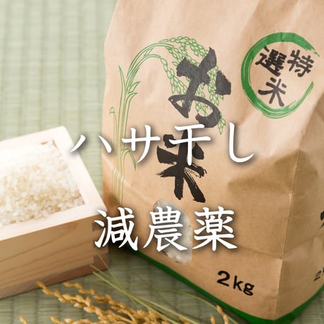 【天陽稲架干し飛騨の米】飛騨産コシヒカリ（白米）【10kg】