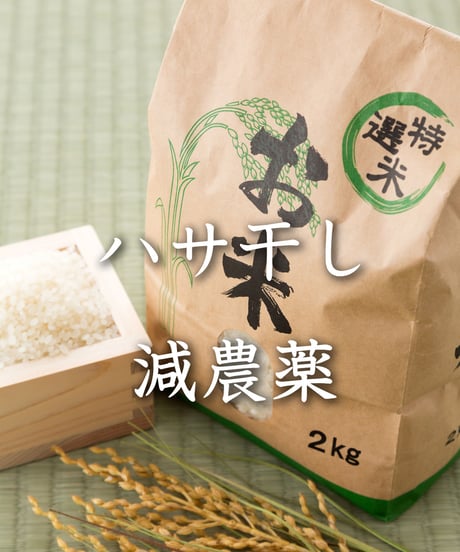 2025年産　【天陽稲架干し飛騨の米】飛騨産コシヒカリ（白米）【10kg】
